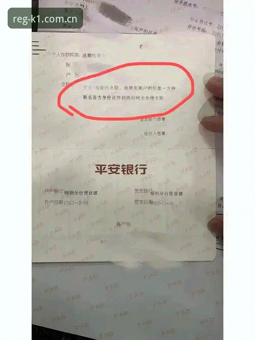 K1体育体验金深度评测：安卓版下载与账户安全全解析
